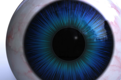 Blog_123_425px_crop_6913816_l